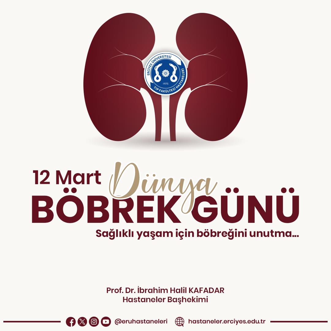 12 Mart Dünya Böbrek Günü